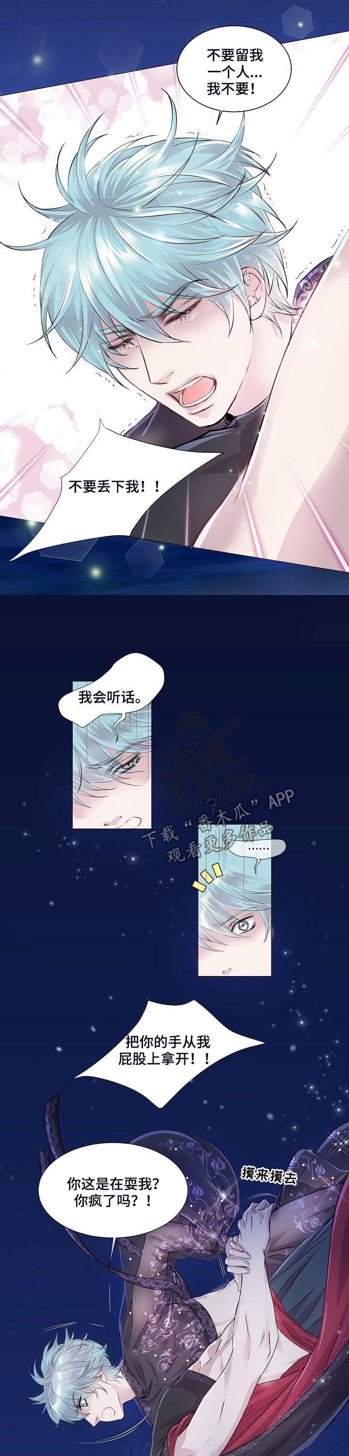 第195章：南极和北极