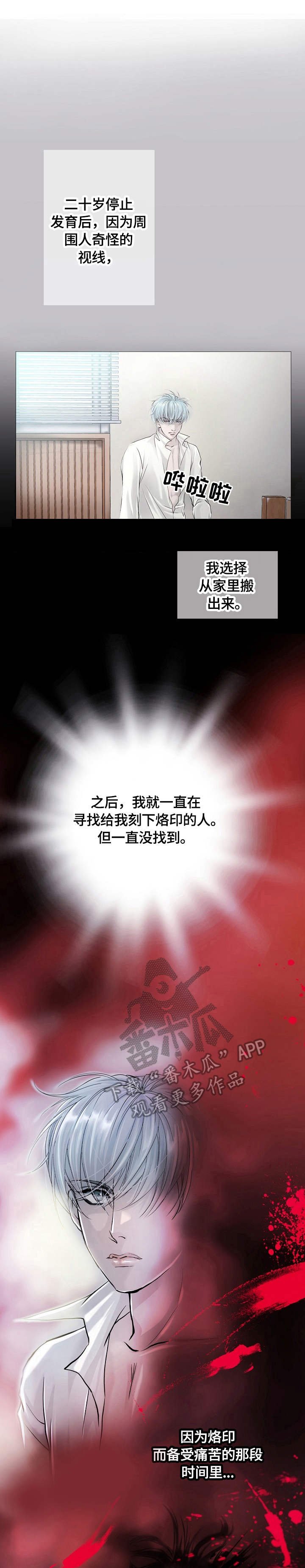 第2章：骑士