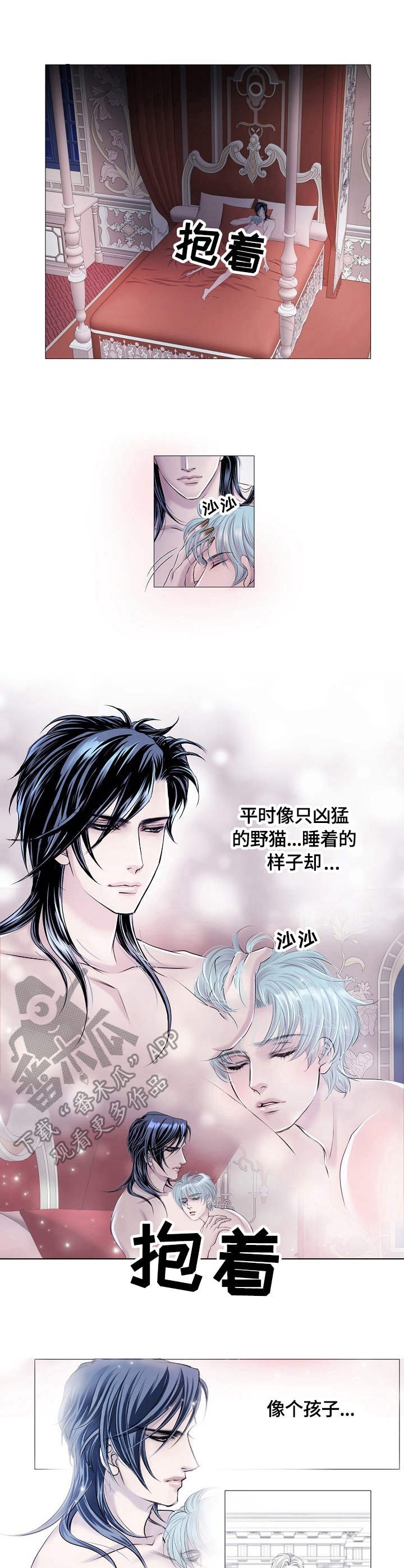 第29章：警告