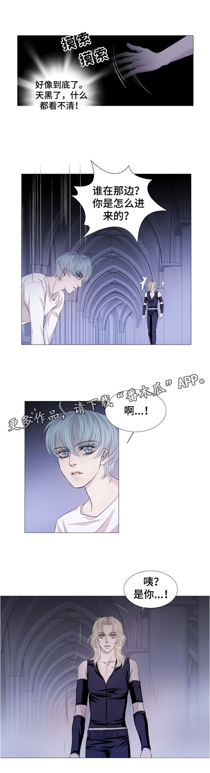 第42章：血液提供者