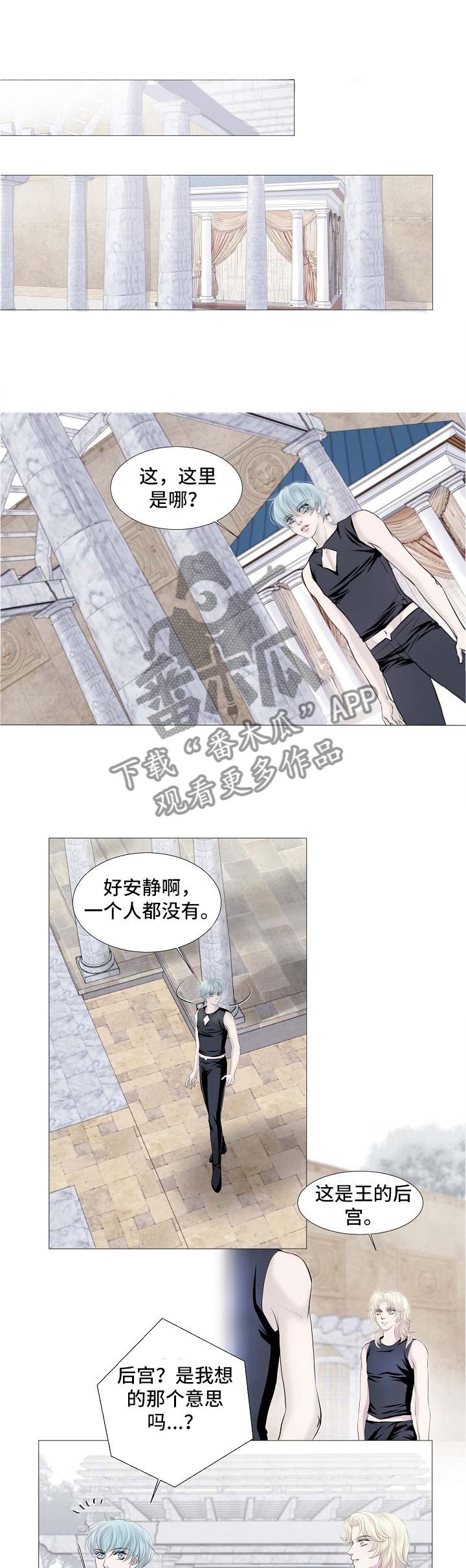第52章：特别的存在