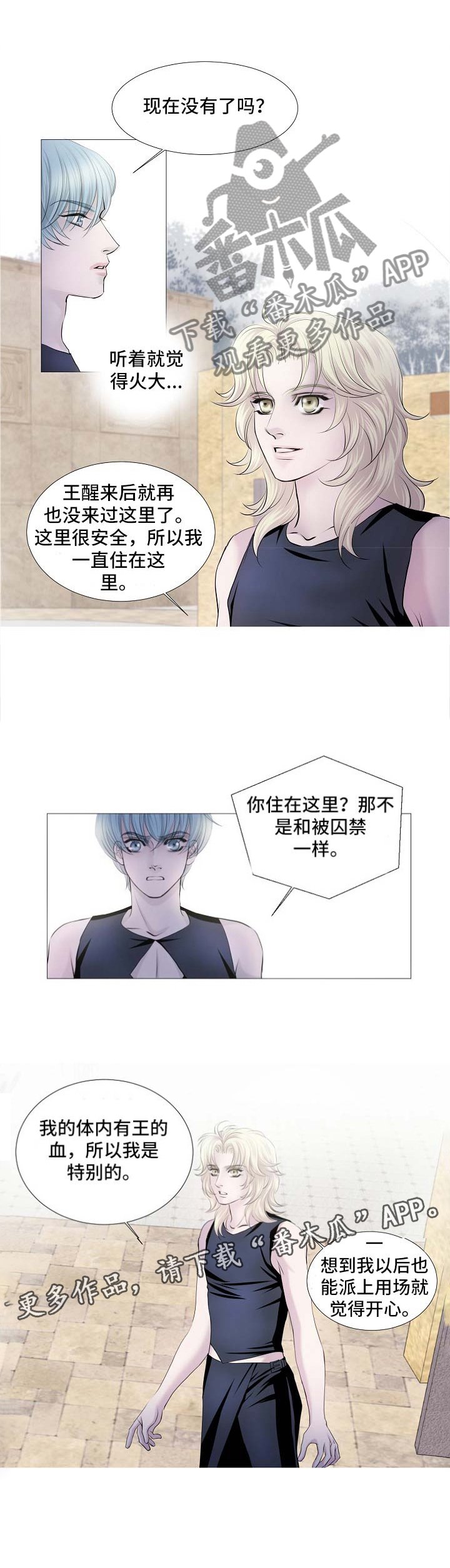 第52章：特别的存在