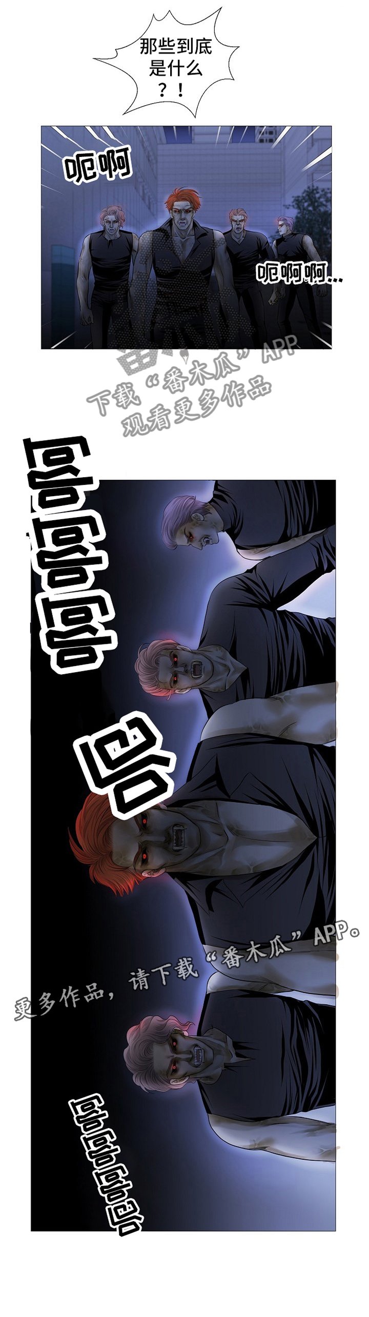 第63章：新品种