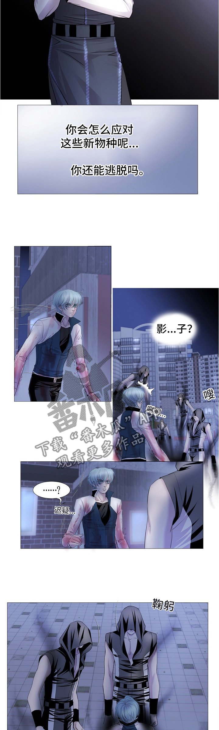 第66章：策略