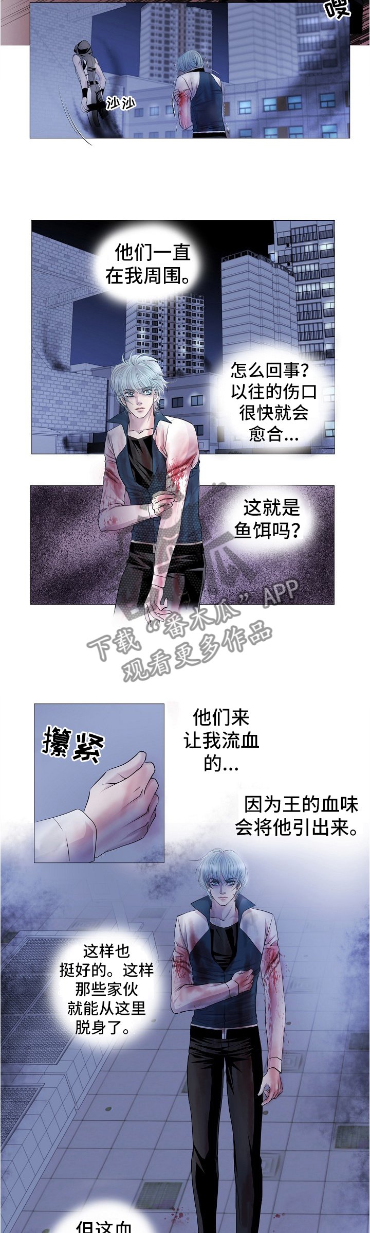 第66章：策略