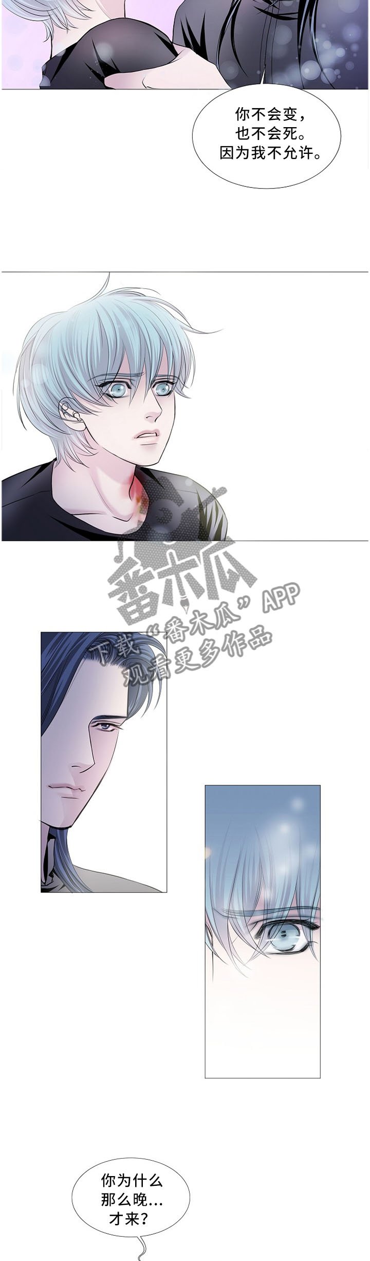 第78章：真正理由