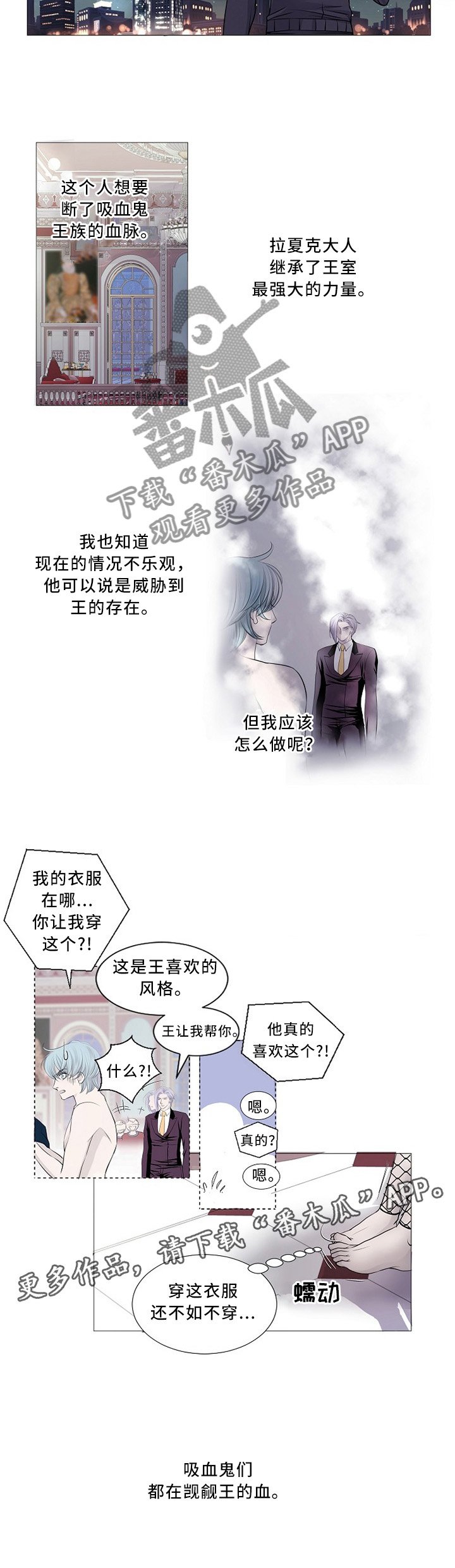 第84章：确认