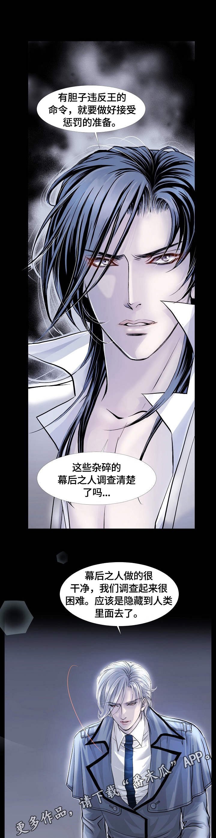 第9章：报告