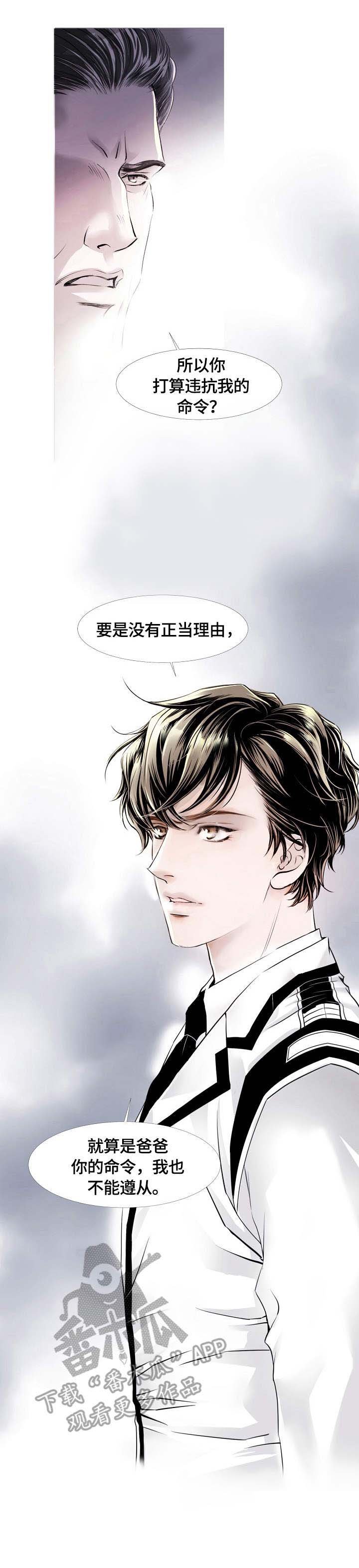 第9章：报告
