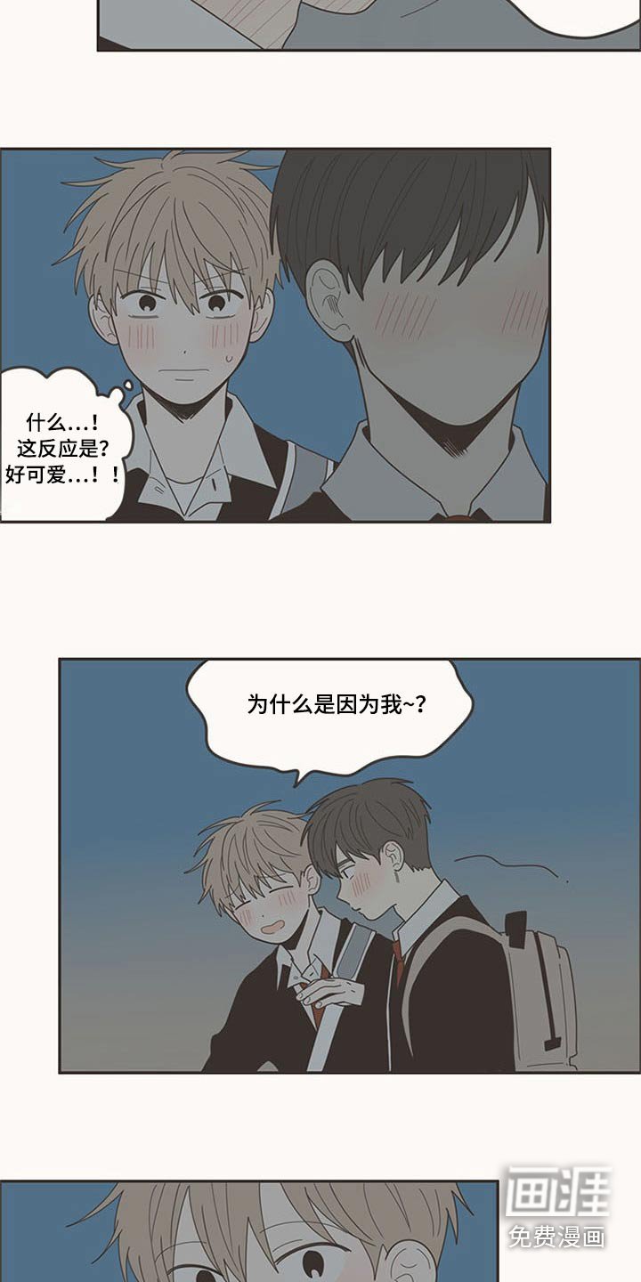 第107章：喜欢你