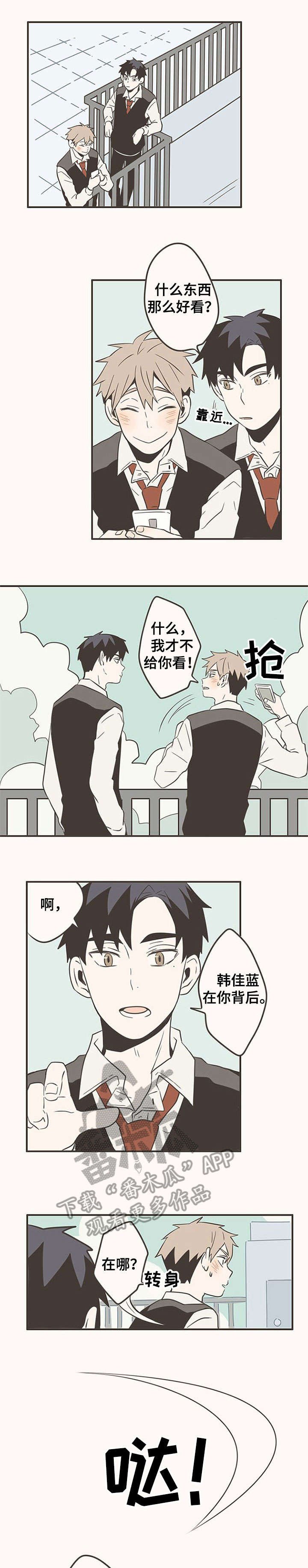 第23章：照片