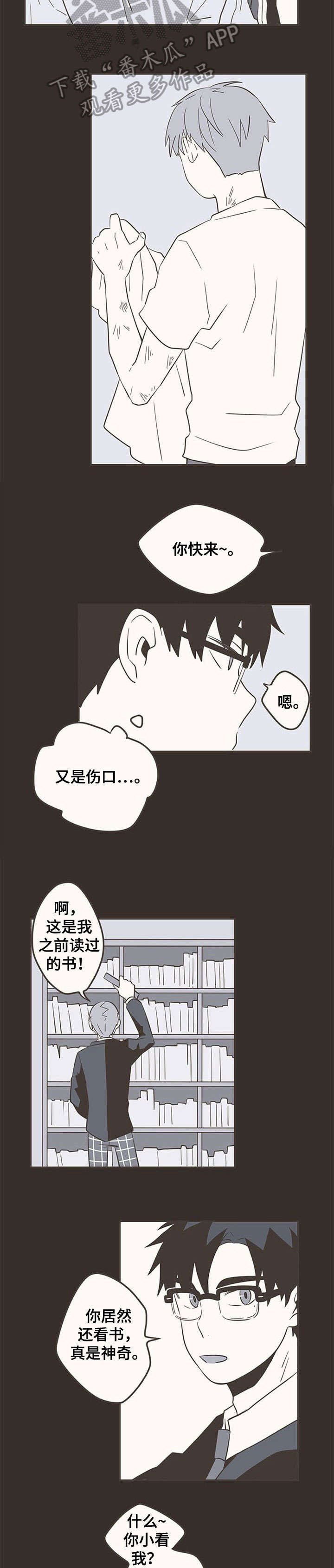 第26章：创口贴