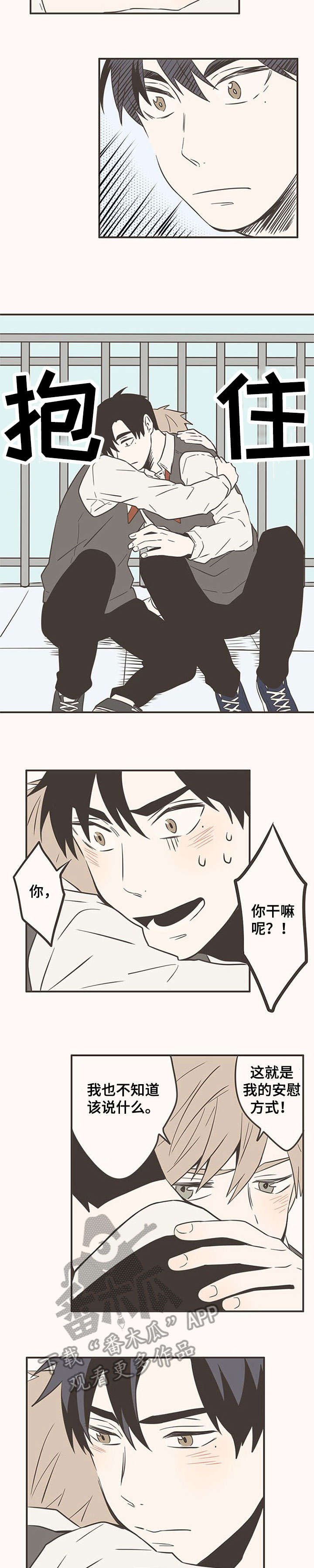 第38章：全力