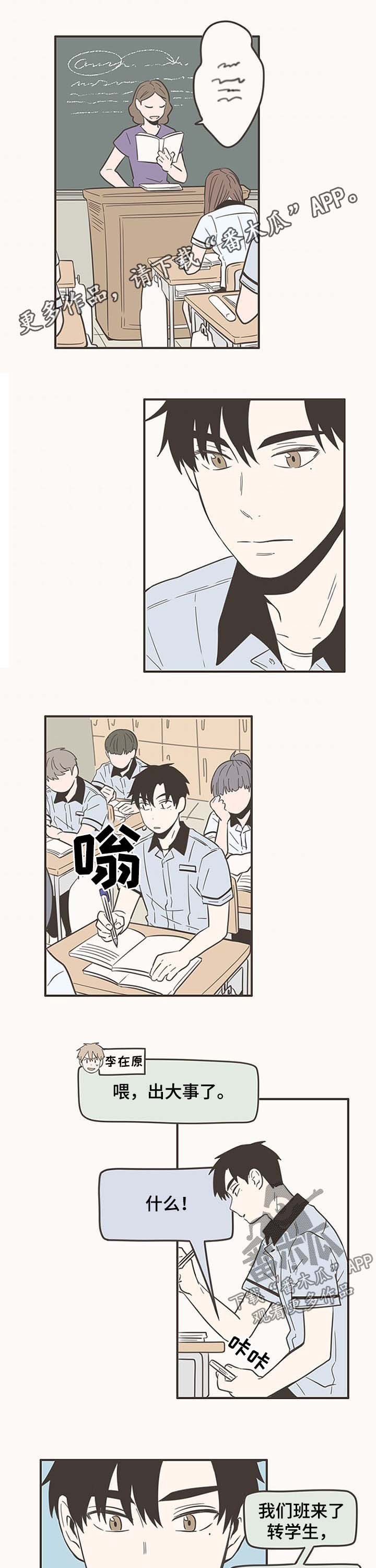 第51章：闪亮的家伙
