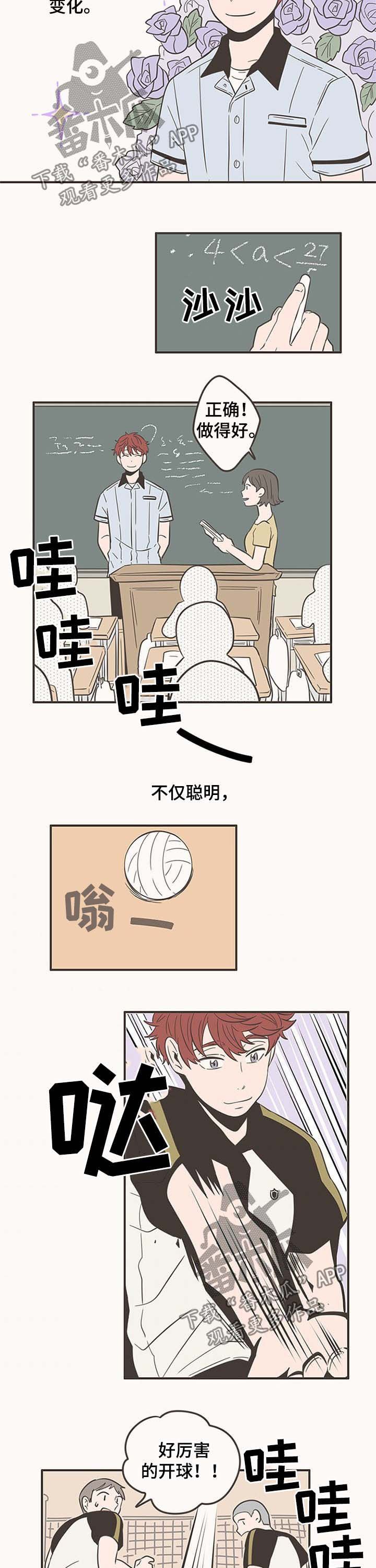 第51章：闪亮的家伙