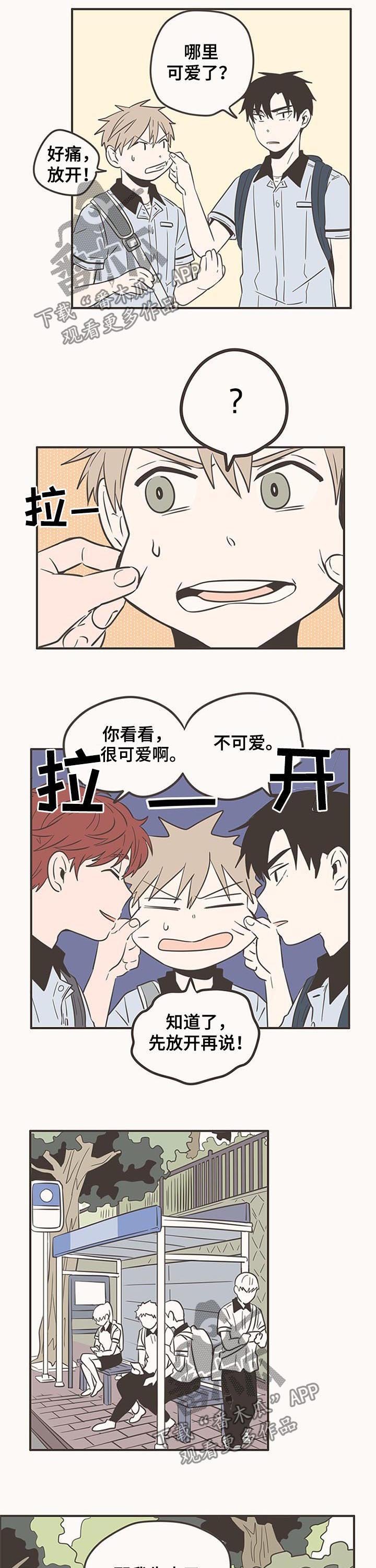 第55章：可爱
