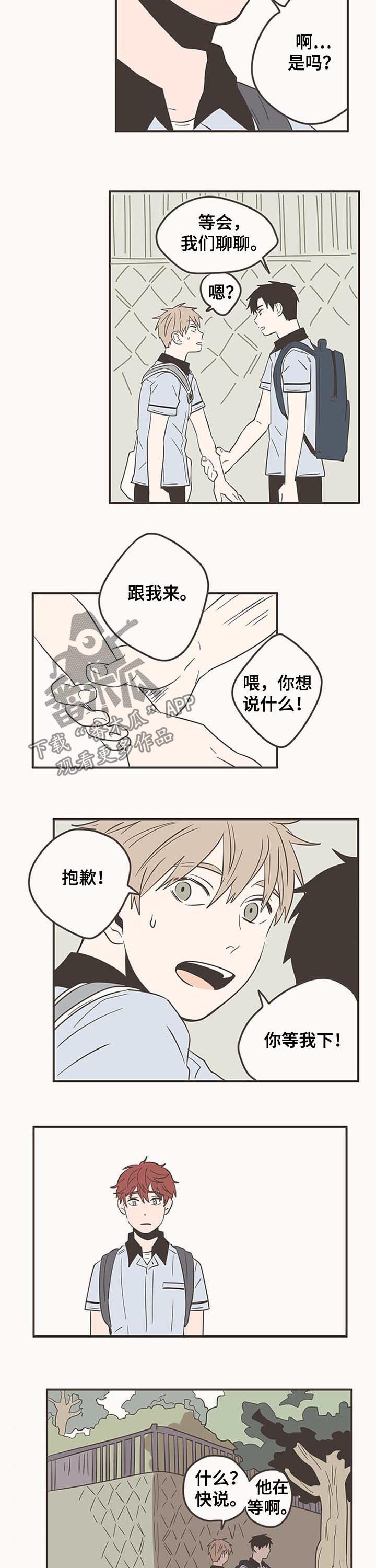 第56章：你是傻瓜吗