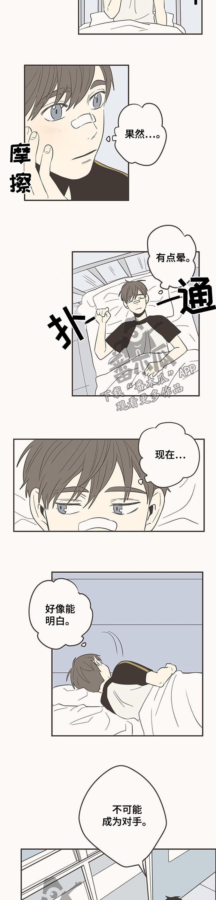 第68章：爱情要争取