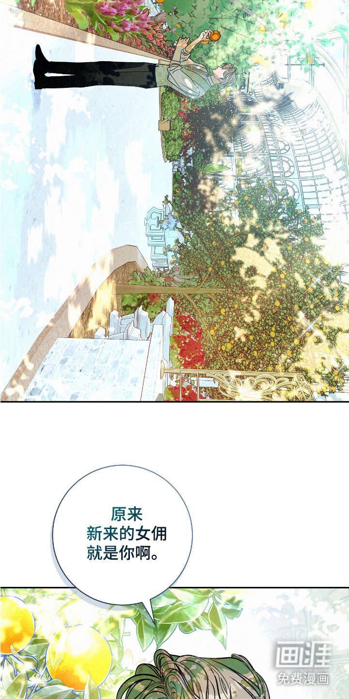 第1章：应聘女佣