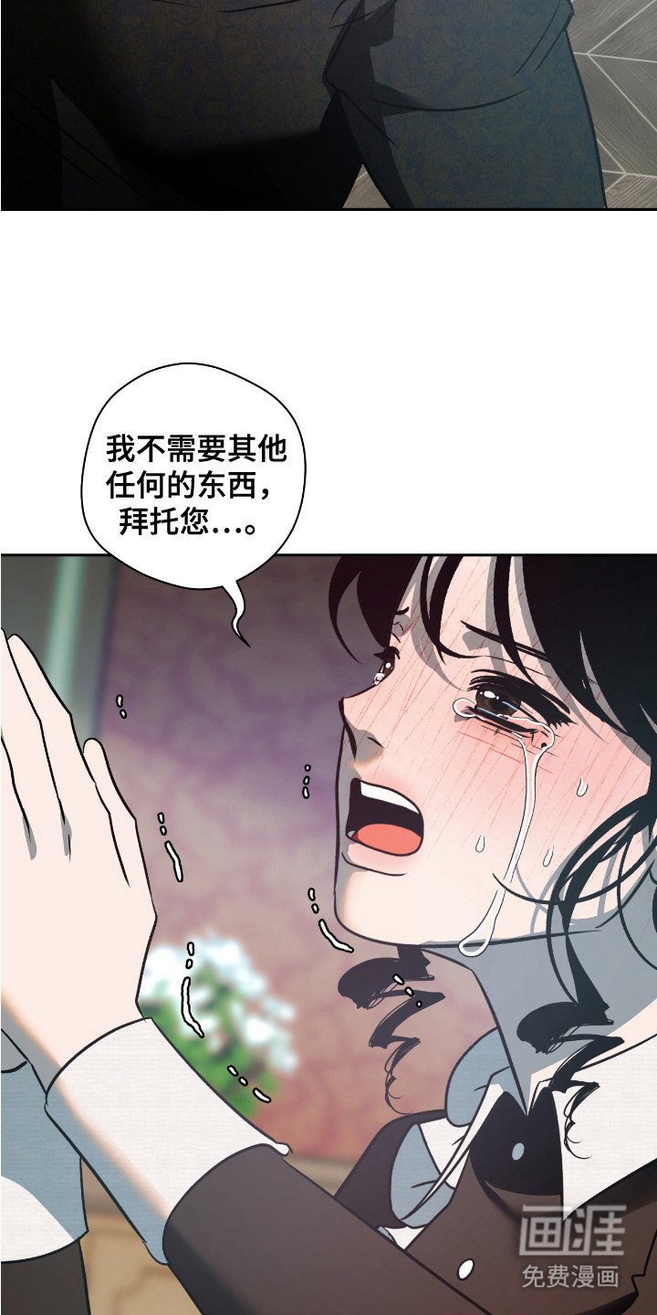 第14章：哀求