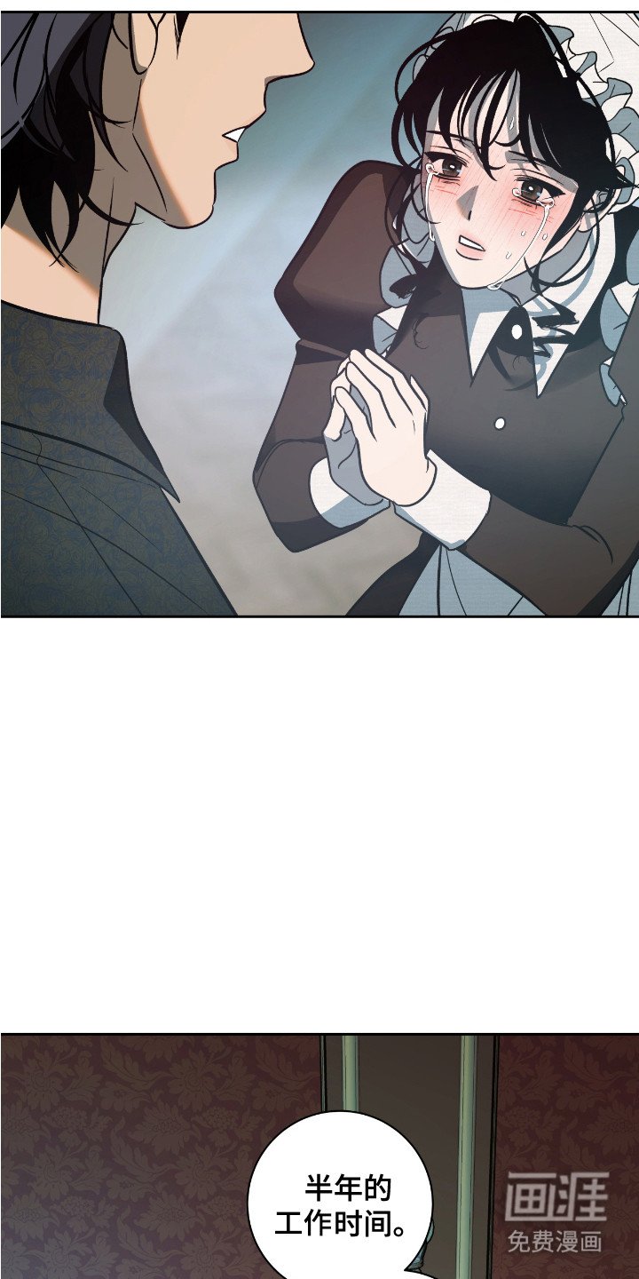 第14章：哀求
