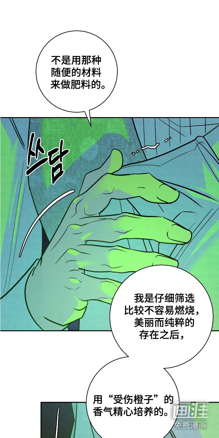 第16章：肥料