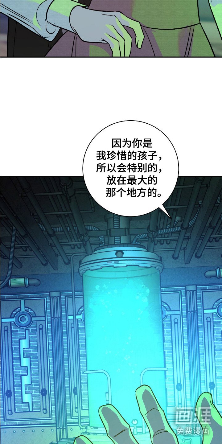 第16章：肥料