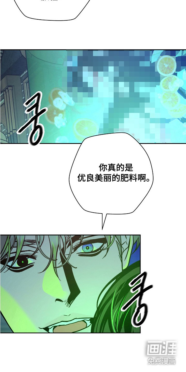 第16章：肥料