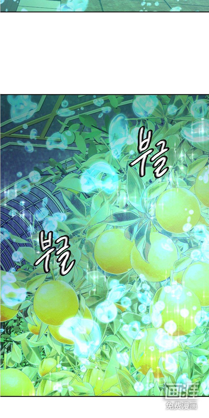 第17章：疯子