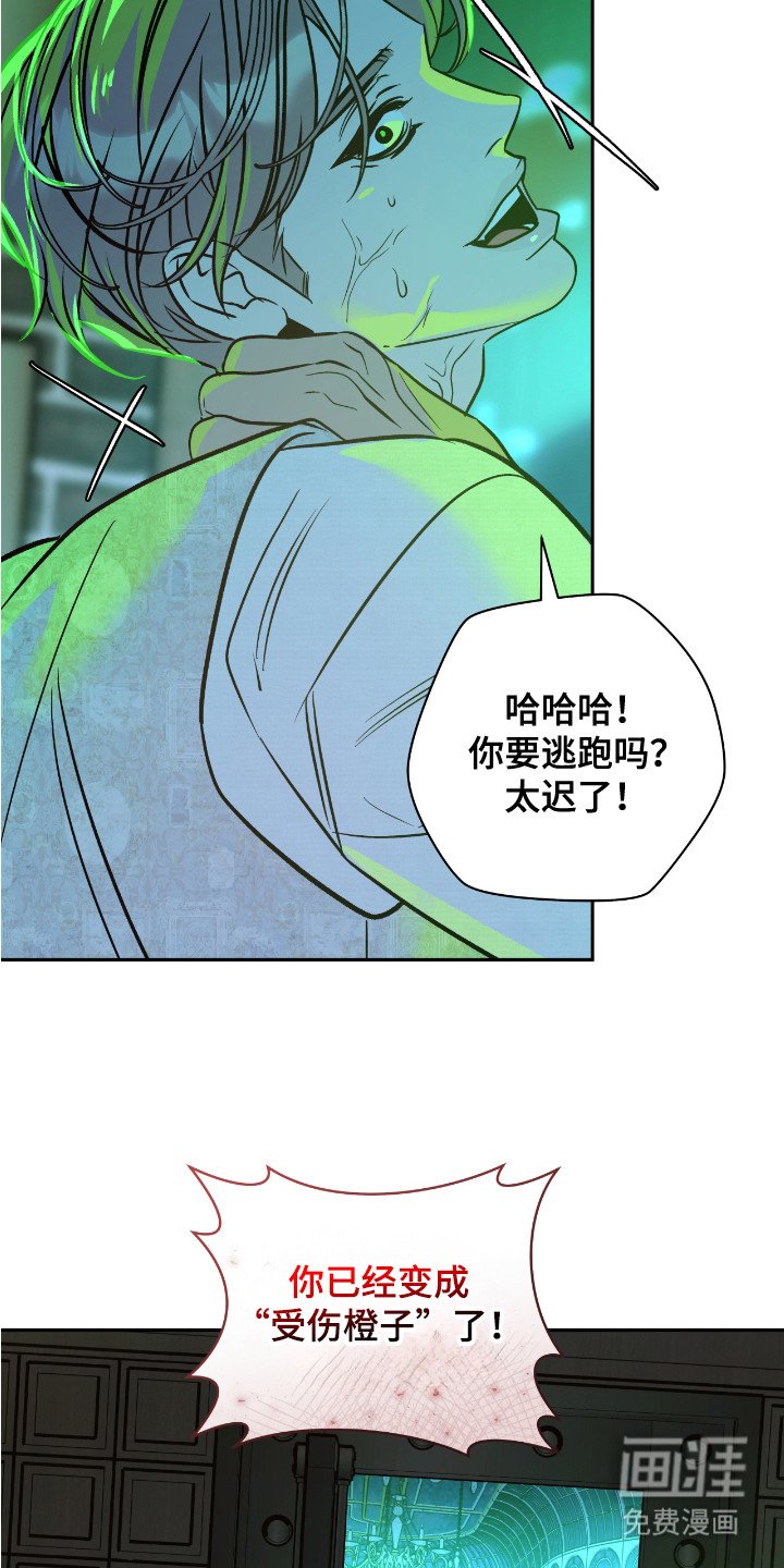第18章：包裹（完结）