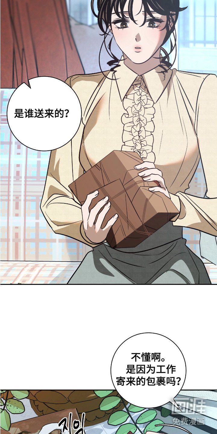 第18章：包裹（完结）