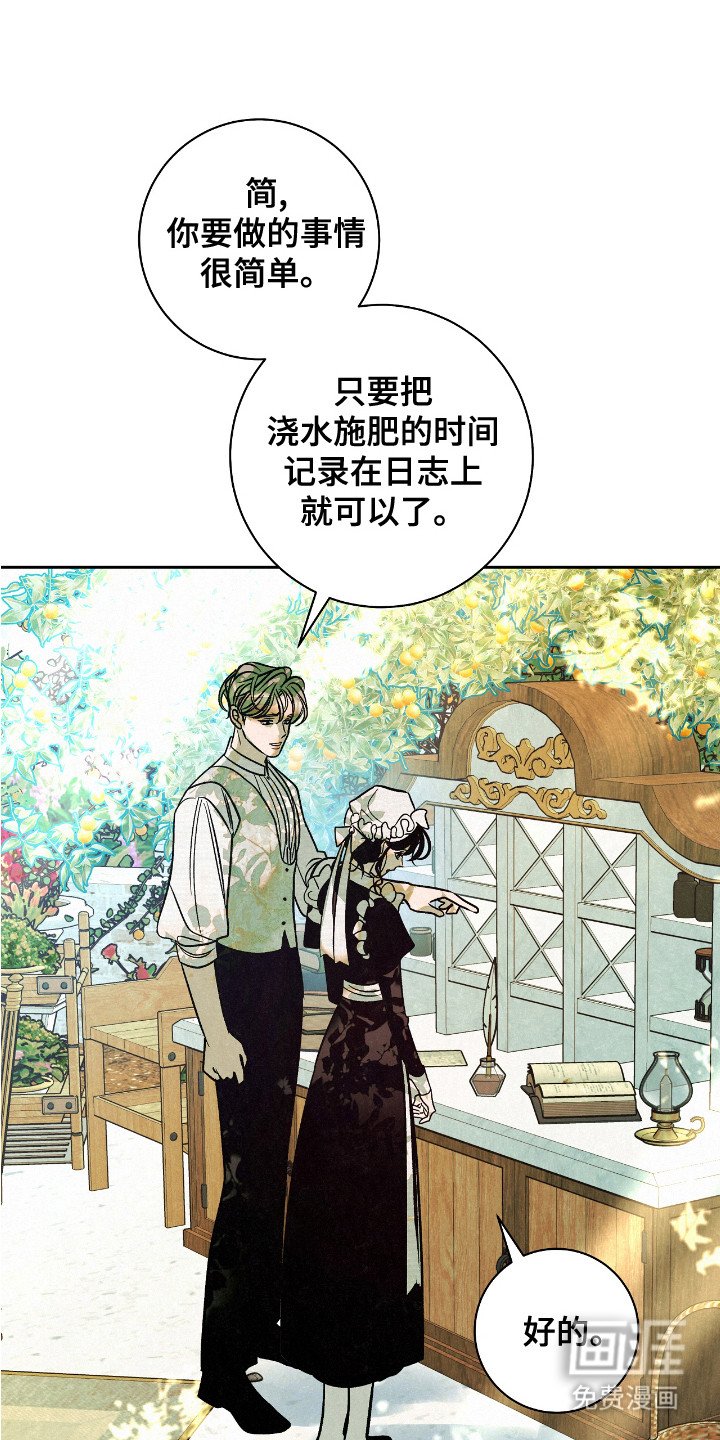 第2章： 受伤橙子