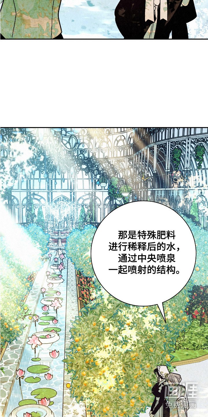 第2章： 受伤橙子
