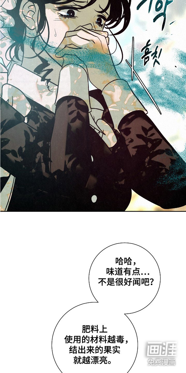 第2章： 受伤橙子