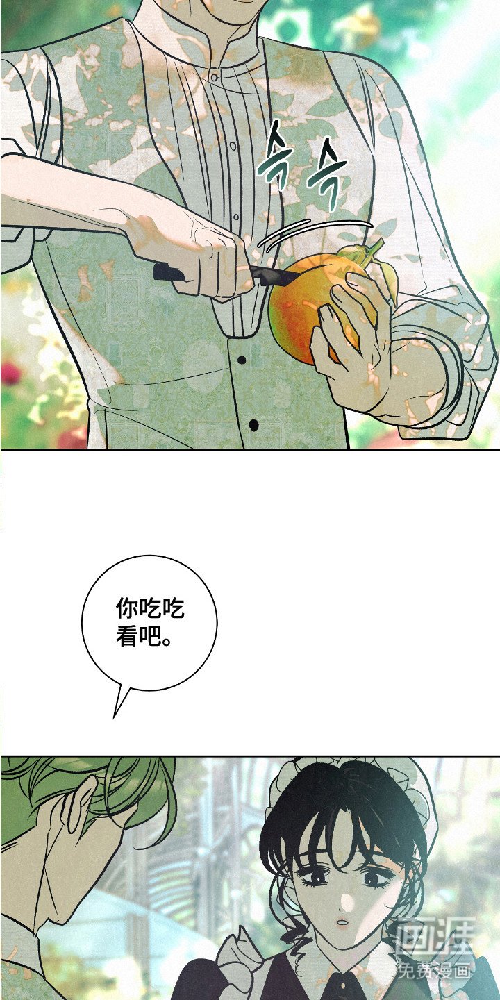 第2章： 受伤橙子