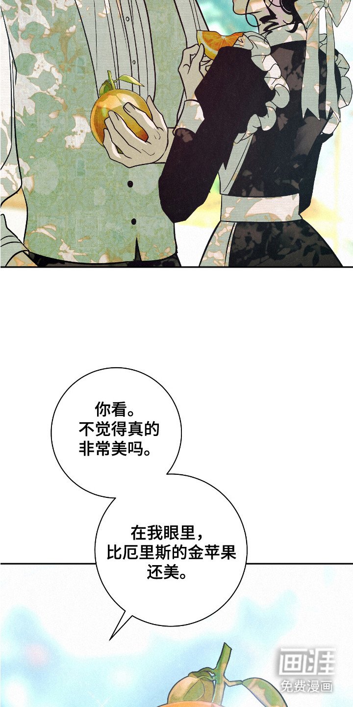 第2章： 受伤橙子