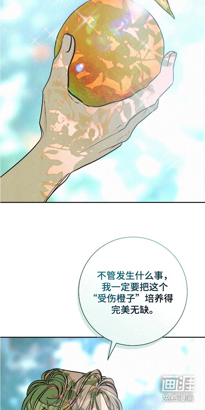 第2章： 受伤橙子