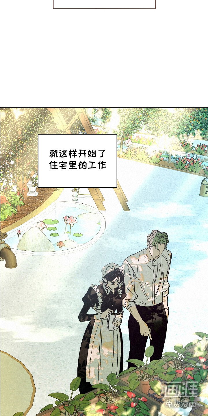第2章： 受伤橙子