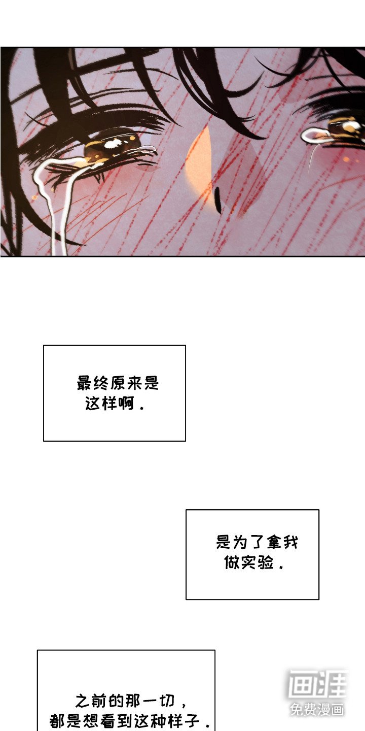 第7章：被骗了