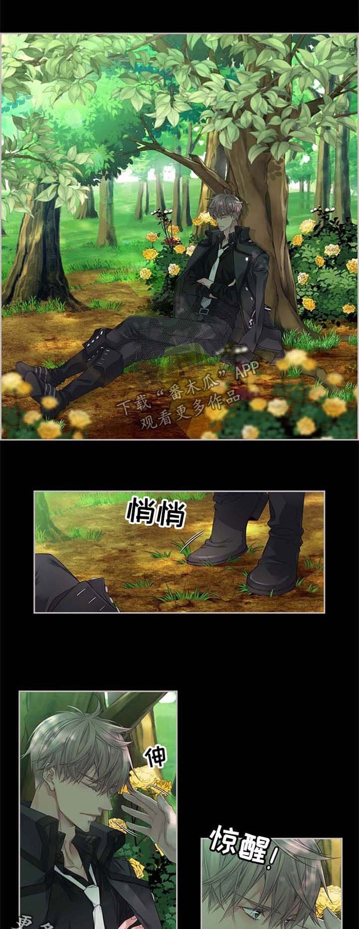 第15章：梦想