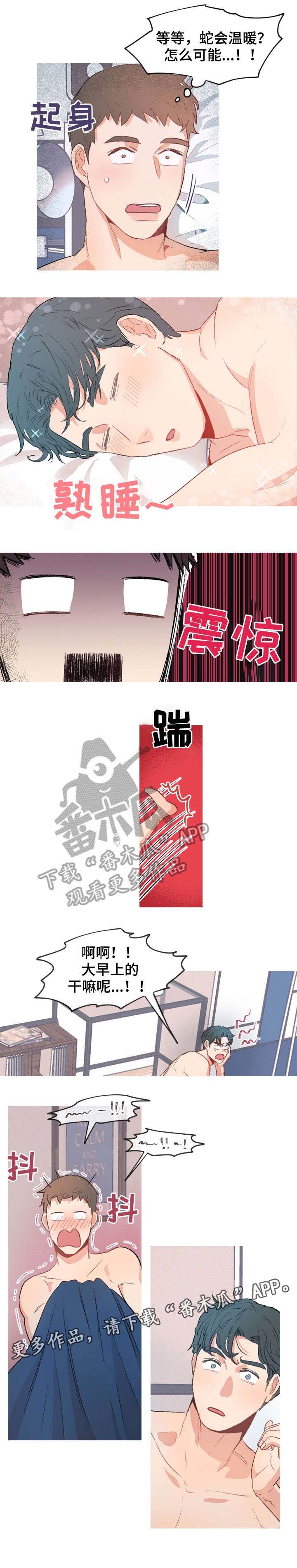 第5章：蛇