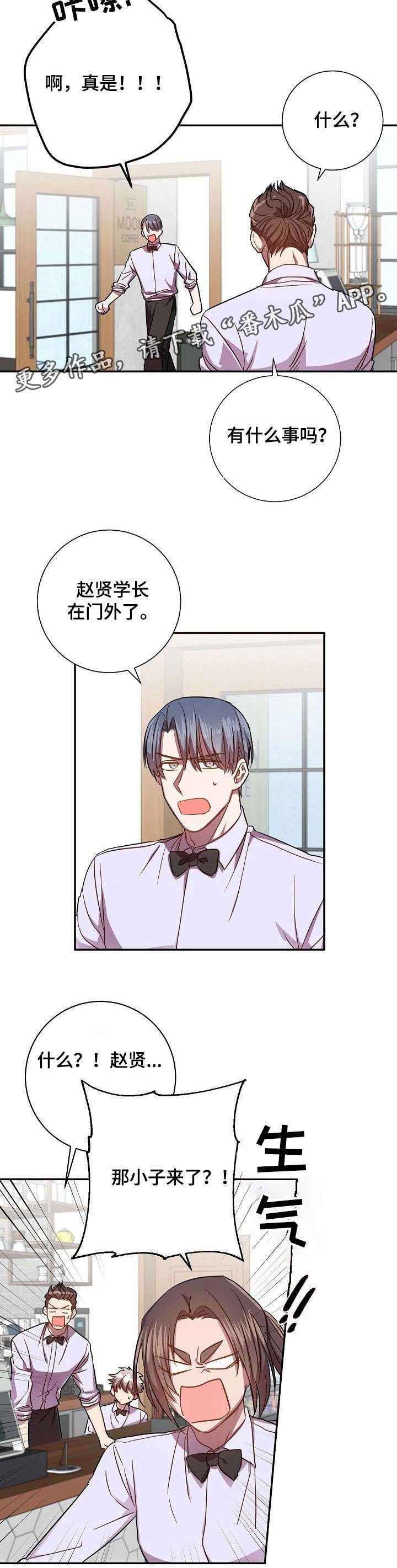 第29章：别问我了