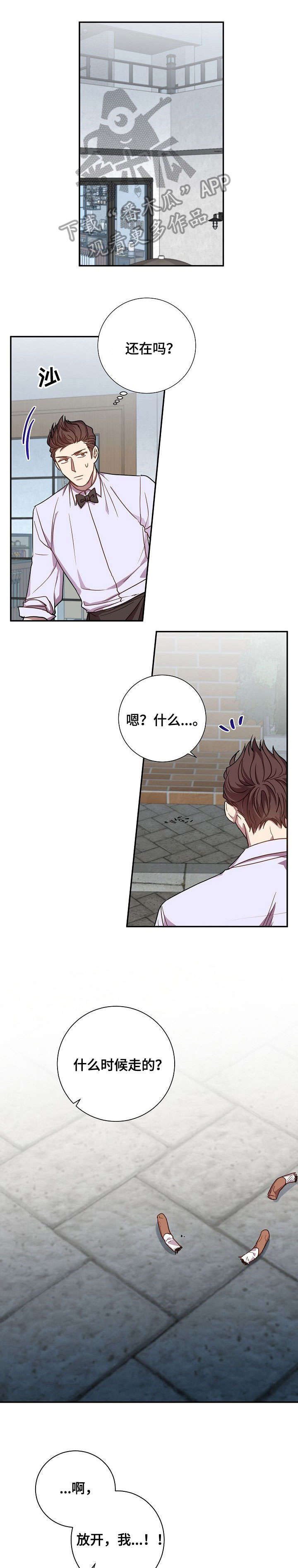 第31章：照片
