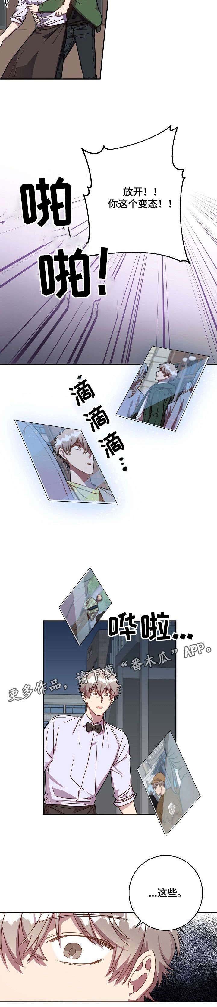 第31章：照片
