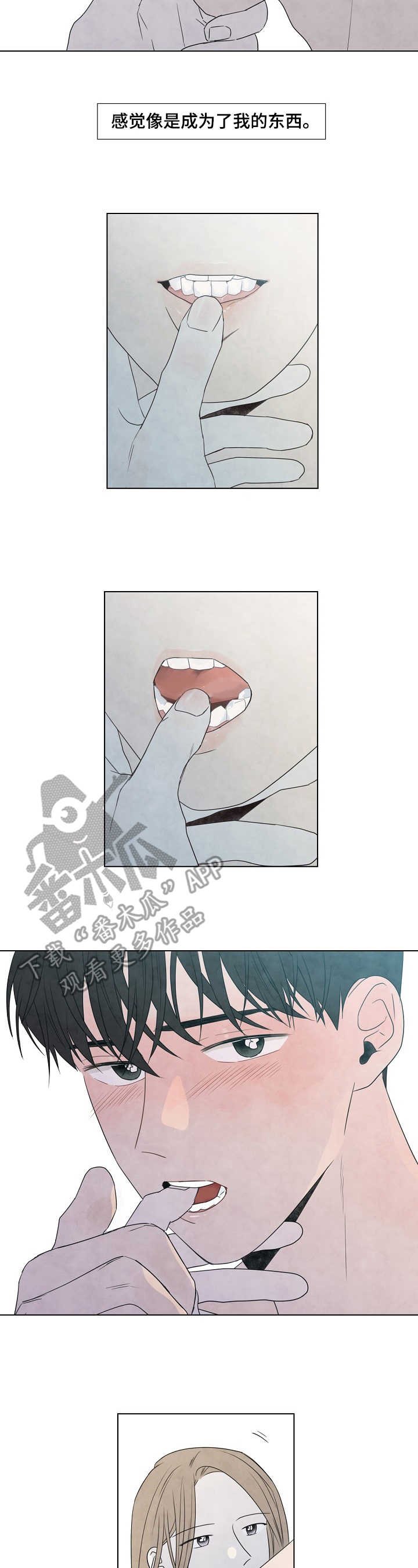 第20章：宁静