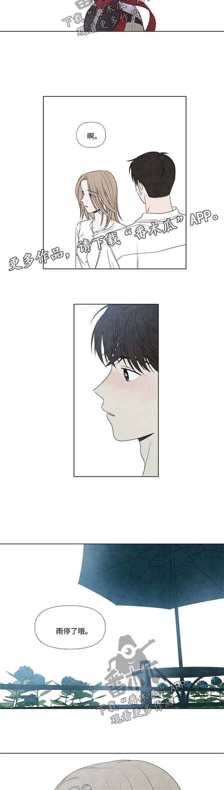 第31章：感觉相似的人