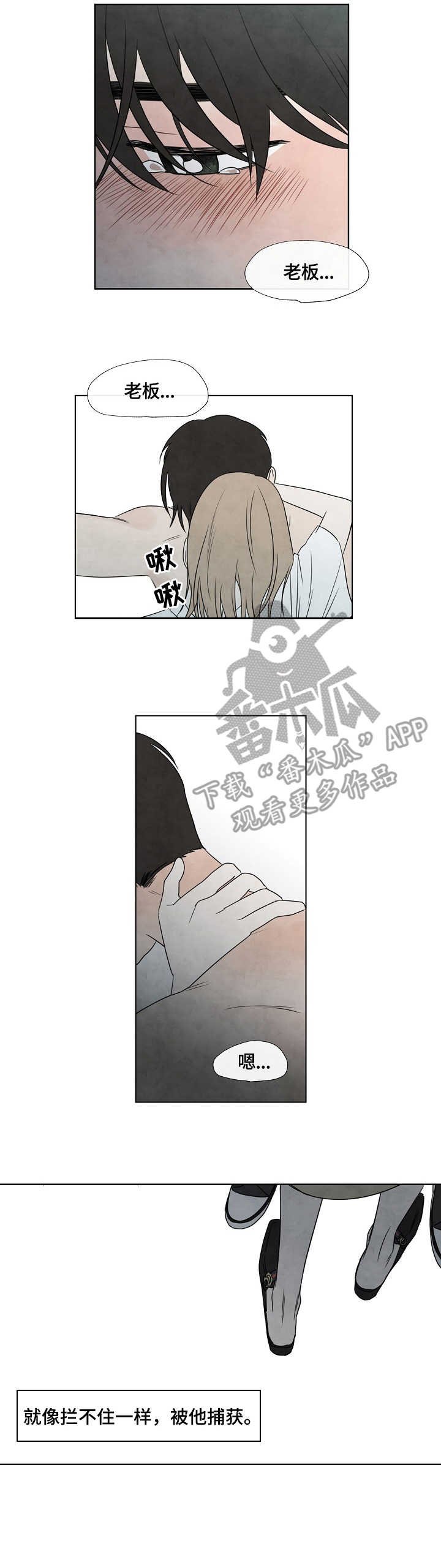 第7章：捕获