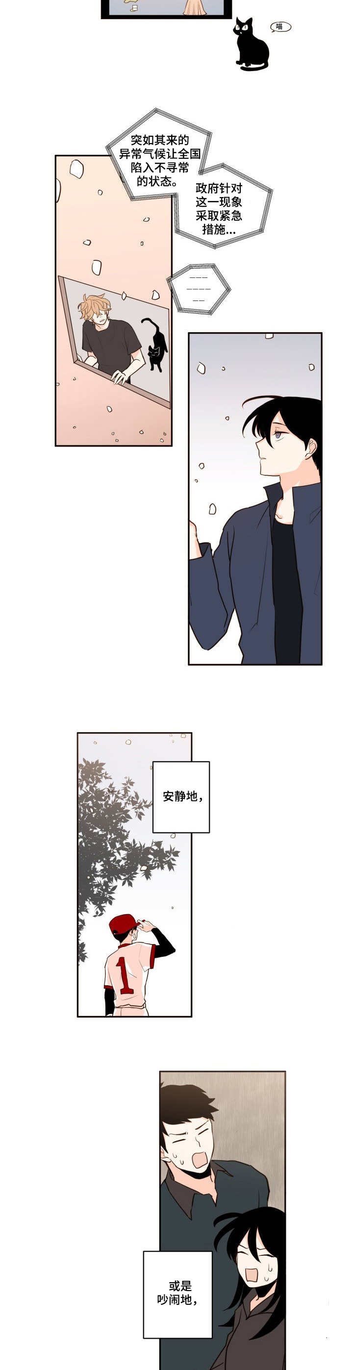 第1章：完美的人