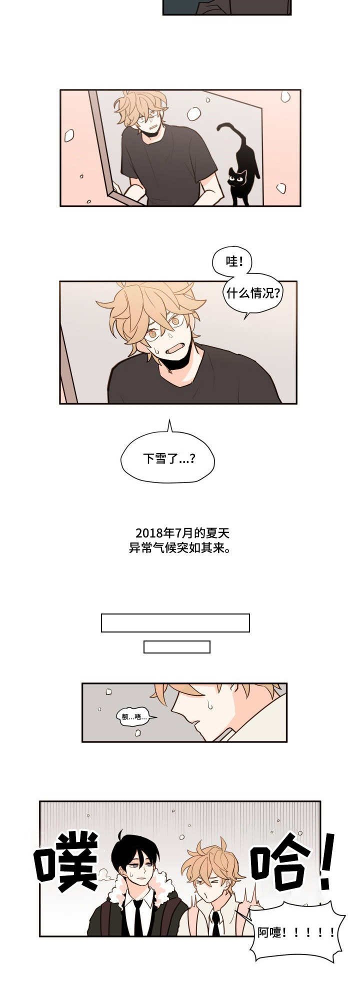第1章：完美的人