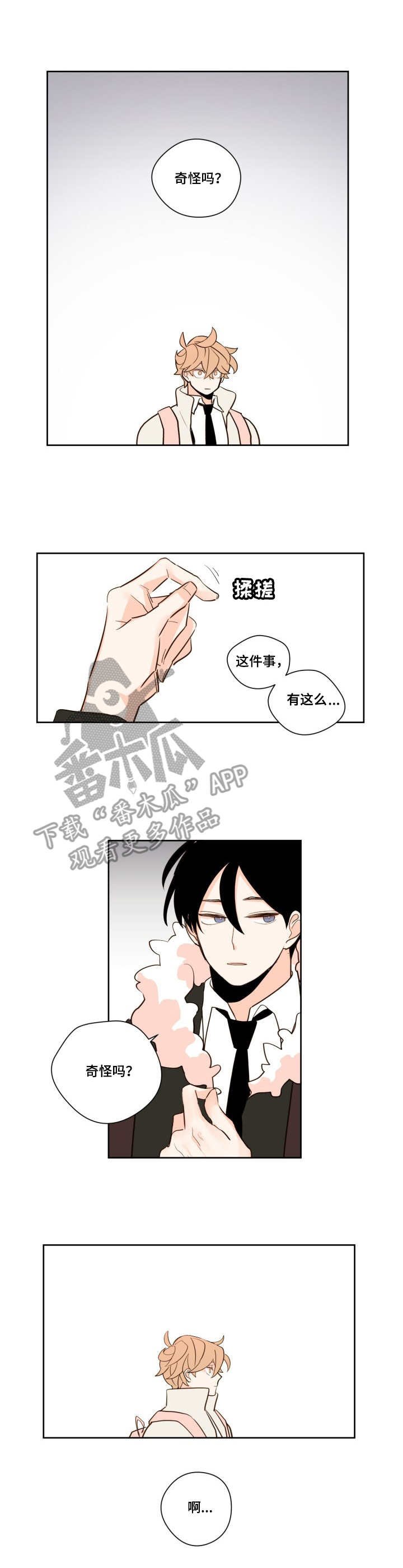 第11章：猜测